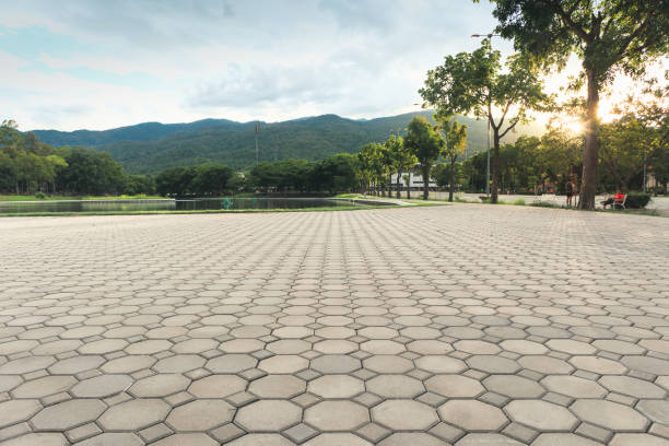 Best Driveway Paving Contractor  in Tara Hills, CA